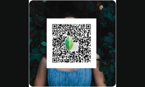 SnapSeed QR Codes: Enhancing Your Digital Experience