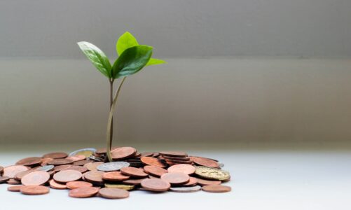 6 Ways to Invest to Scaleup Your Business