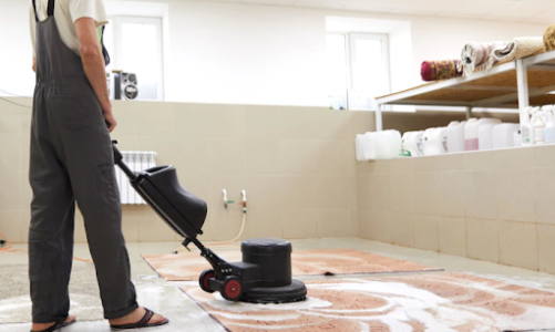 Read And Know Why Only Professional Carpet Cleaning Services Work For You